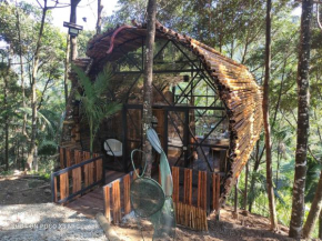 Glamping San Luis nativa